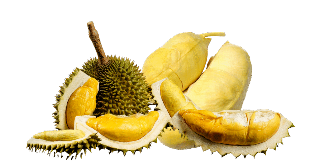 ทุเรียน